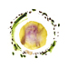 full_circle11